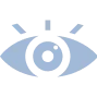 Vision